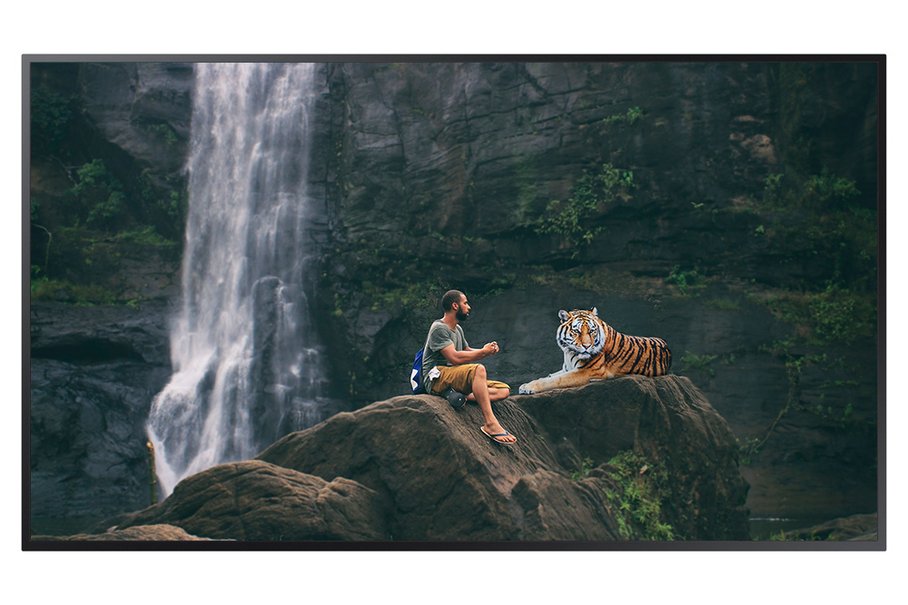 Samsung（LCD）QM55R