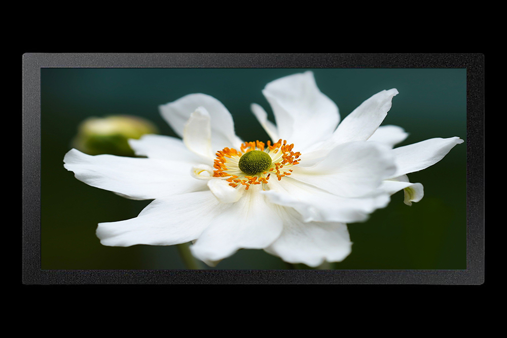 Samsung（LCD）QB24R